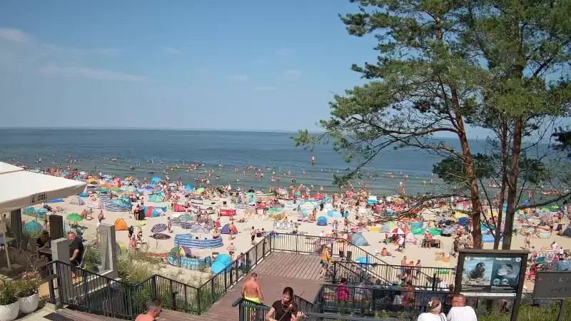 Widok z kamery na plażę w Stegnie to prawdziwa zachęta do wypoczynku.