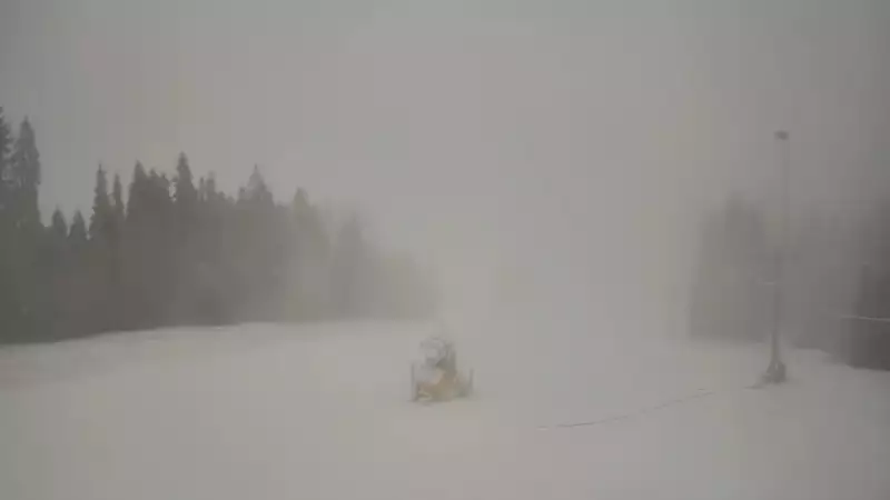 Kaniówka - widok z górnej stacji NOWOŚĆ