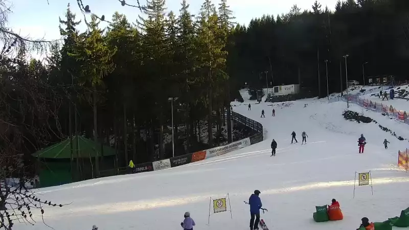 Widok z Kamery na wyciąg taśmowy w Karpacz Biały Jar.