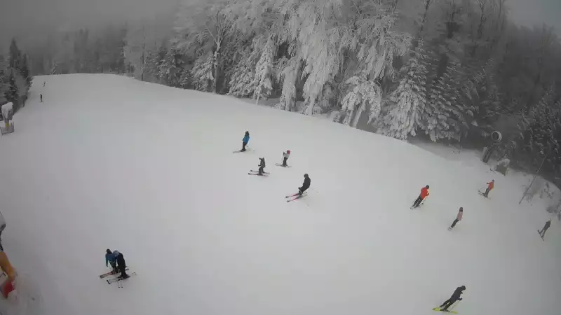 Widok na stację końcową wyciagu o należącym do Grupy Pingwina ośrodku Kasina Ski