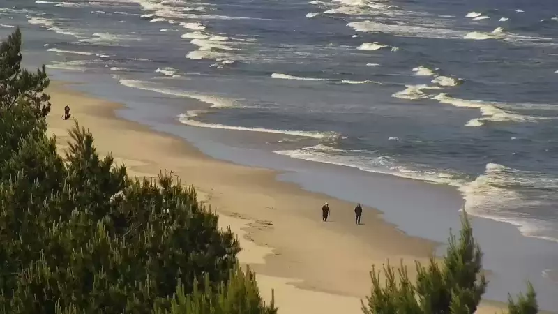 Widok na plażę i morze w Kątach Rybackich - zobacz