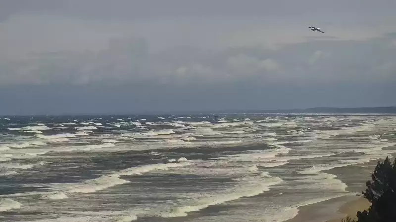 Widok na plażę i morze w Kątach Rybackich - zobacz