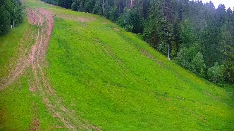 Widok na trasę narciarską nr6 w Kotelnicy Białczańskiej