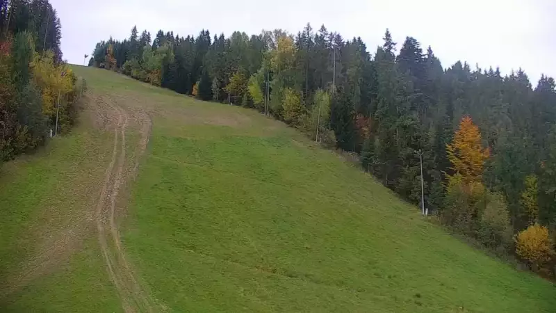 Widok na trasę narciarską nr6 w Kotelnicy Białczańskiej