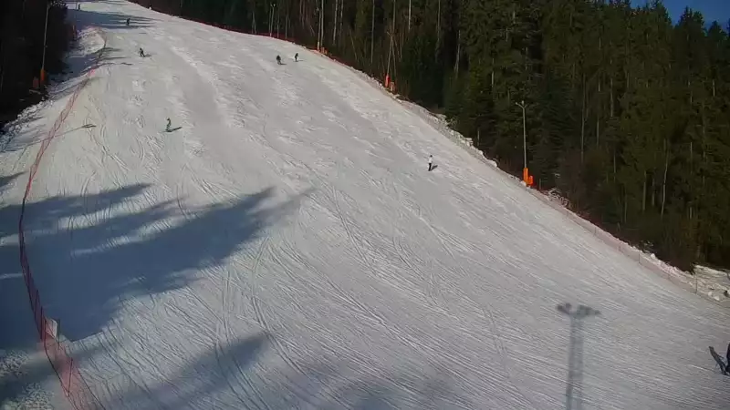 Widok na trasę narciarską nr6 w Kotelnicy Białczańskiej