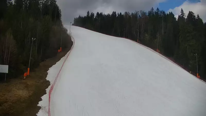 Widok na trasę narciarską nr6 w Kotelnicy Białczańskiej