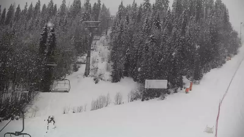 Widok na trasę narciarską nr6 w Kotelnicy Białczańskiej