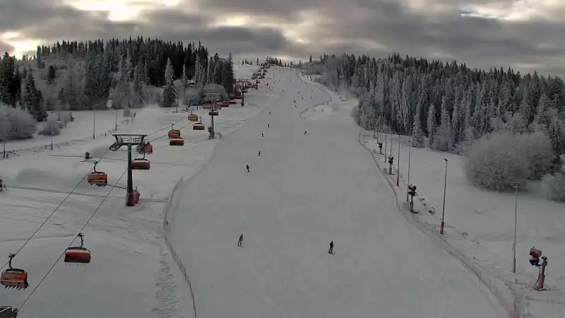 Widok na jedną z dziewięciu kolei krzesełkowej na Kotelnicy - trasa nr 9 - Remiaszów