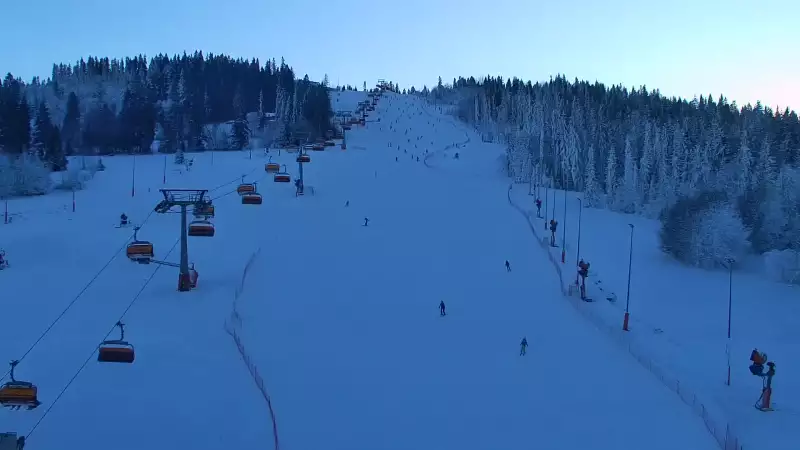 Widok na jedną z dziewięciu kolei krzesełkowej na Kotelnicy - trasa nr 9 - Remiaszów