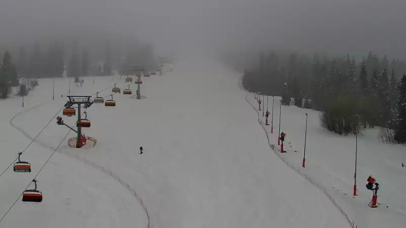 Widok na jedną z dziewięciu kolei krzesełkowej na Kotelnicy - trasa nr 9 - Remiaszów