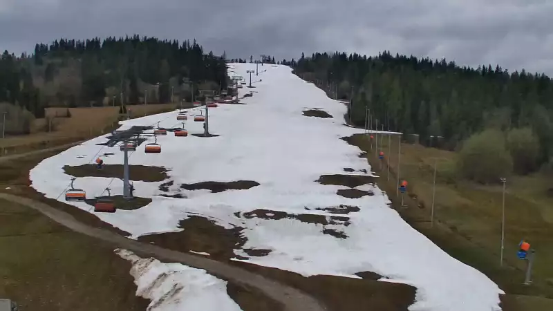 Widok na jedną z dziewięciu kolei krzesełkowej na Kotelnicy - trasa nr 9 - Remiaszów