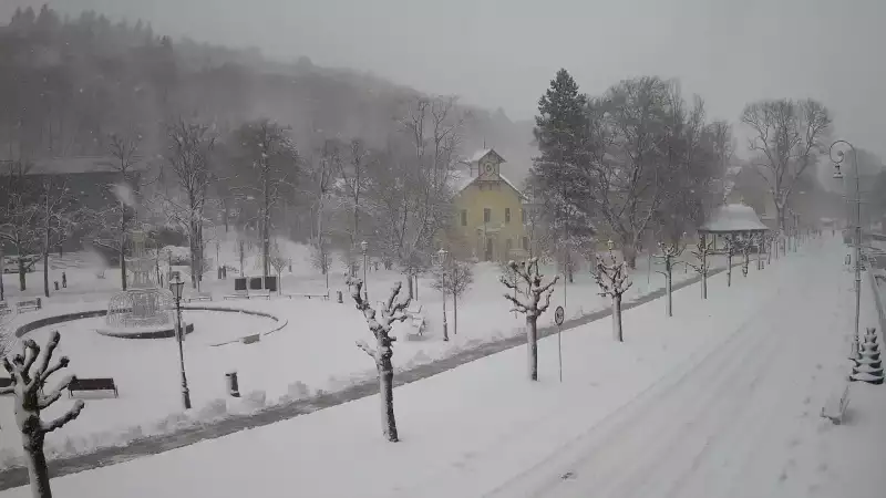 Widok na centrum Krynicy-Zdroju deptak, ścieżka, drzewa.