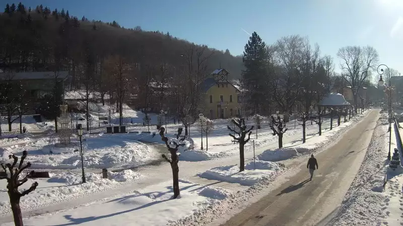 Widok na centrum Krynicy-Zdroju deptak, ścieżka, drzewa.