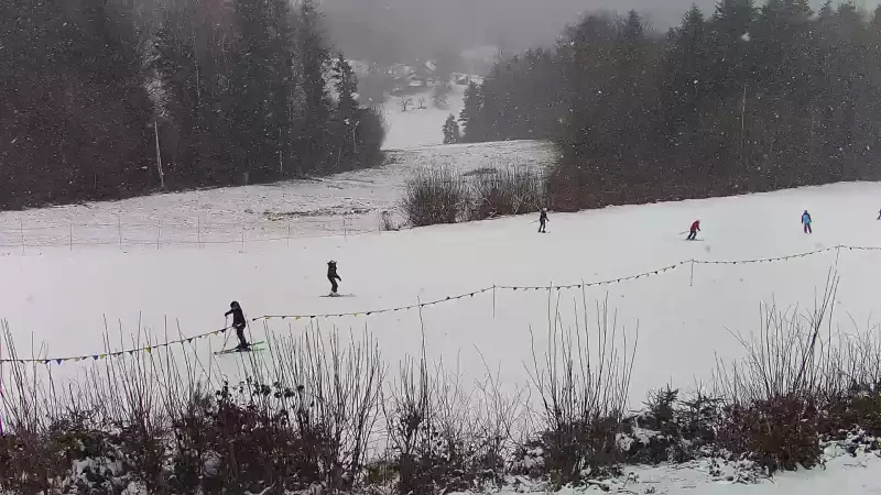 Widok na środkową część trasy zjazdowej w stacji narciarskiej Laskowa Ski
