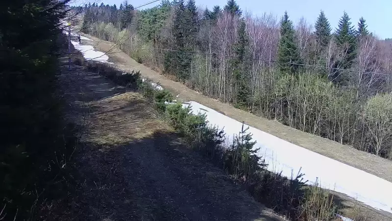 Widok na środkową część trasy zjazdowej w stacji narciarskiej Laskowa Ski