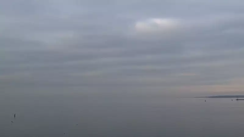 Marina Trzebież - widok na Marinę od strony Zalewu Szczecińskiego