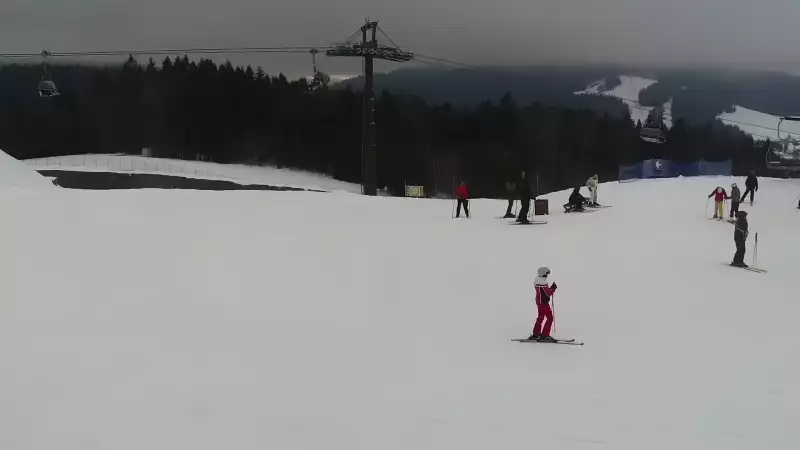 Obraz online z górnej stacji kompleksu Master-ski w Tyliczu