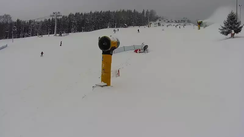 Obraz na stok w Master Ski w Tyliczu - sprawdź warunki online.