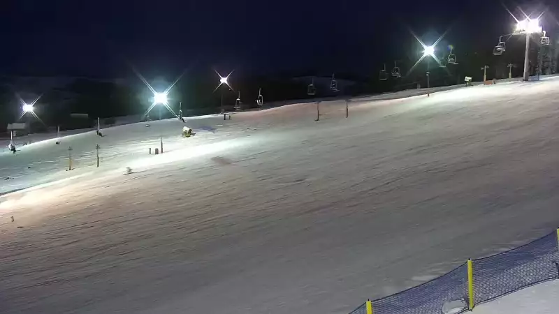 Obraz na stok w Master Ski w Tyliczu - sprawdź warunki online.