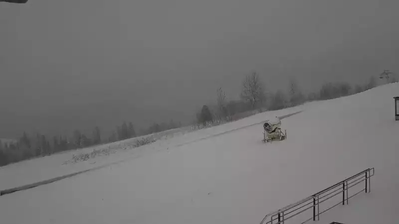 Obraz live prezentujący warunki narciarskie panujące na Stacji Rusin-Ski w Bukowinie Tatrzańskiej