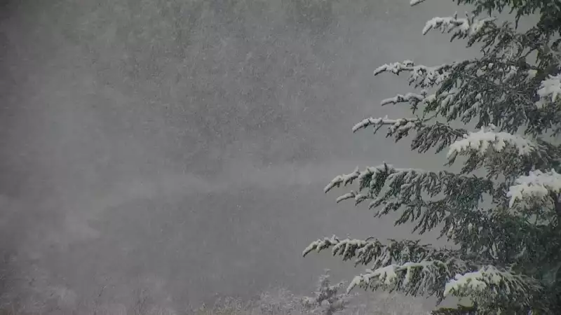 Widok z pienińskiego schroniska Orlica