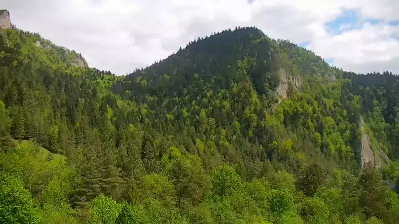 Widok na żywo na panoramę Sromowców Niżnych i rzekę Dunajec