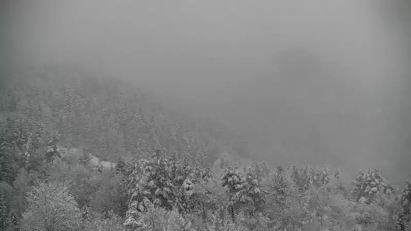 Widok na żywo na panoramę Sromowców Niżnych i rzekę Dunajec