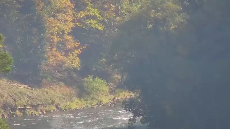 Widok na żywo na panoramę Sromowców Niżnych i rzekę Dunajec