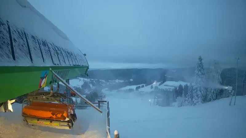 Widok na stok narciarski i kolej z górnej stacji kompleksu Słotwiny Arena w Krynicy