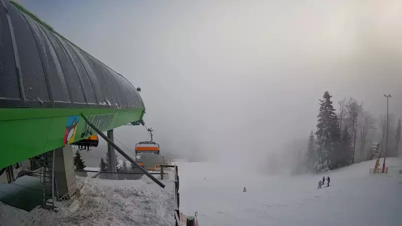 Widok na stok narciarski i kolej z górnej stacji kompleksu Słotwiny Arena w Krynicy