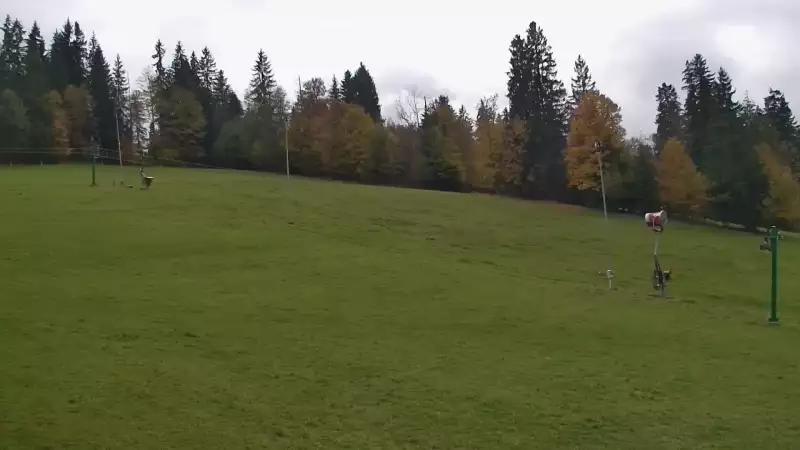 Widok z Kamery na dolny odcinek orczyka Jędrol Suche ski