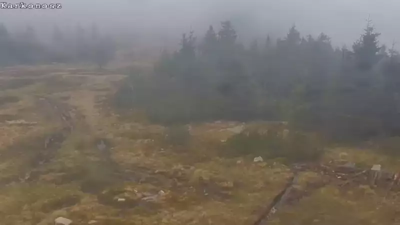 Obraz z górnej stacji Sudety Lift w Karkonoszach.