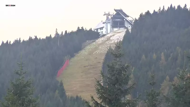 Obraz live prezentuje warunki pogodowe z Ośrodka Ski&Sun Śweradów Zdrój.