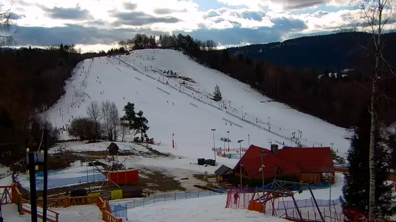 Widok z Kamery na stok narciarski Szczawnica Palenica