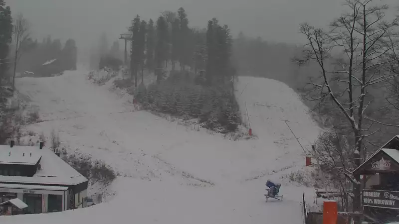 Widok z dolnej stacji Szczyrk Mountain Resort w Solisku