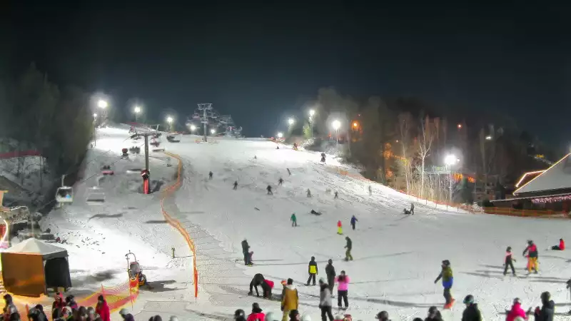 Kamera przedstawia dolną część stoku narciarskiego.