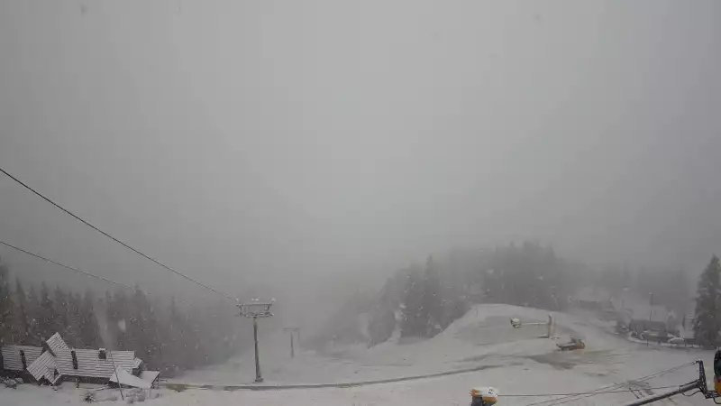 Widok z Kamery na trasy zjazdowe na Polanie Szymoszkowej w Zakopanem