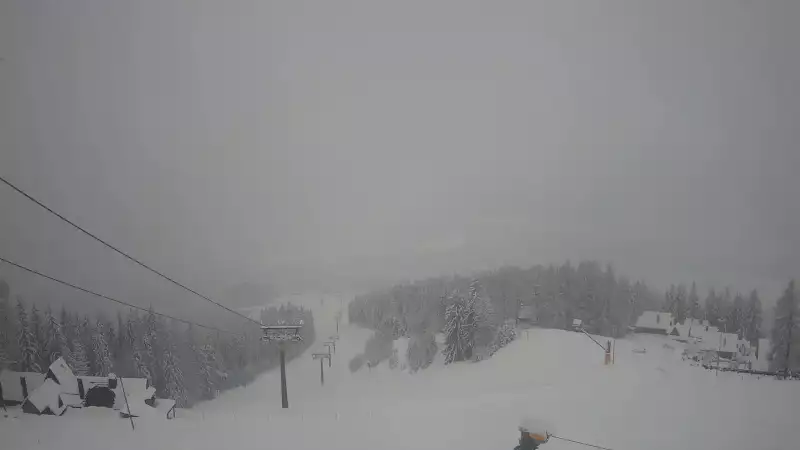 Widok z Kamery na trasy zjazdowe na Polanie Szymoszkowej w Zakopanem