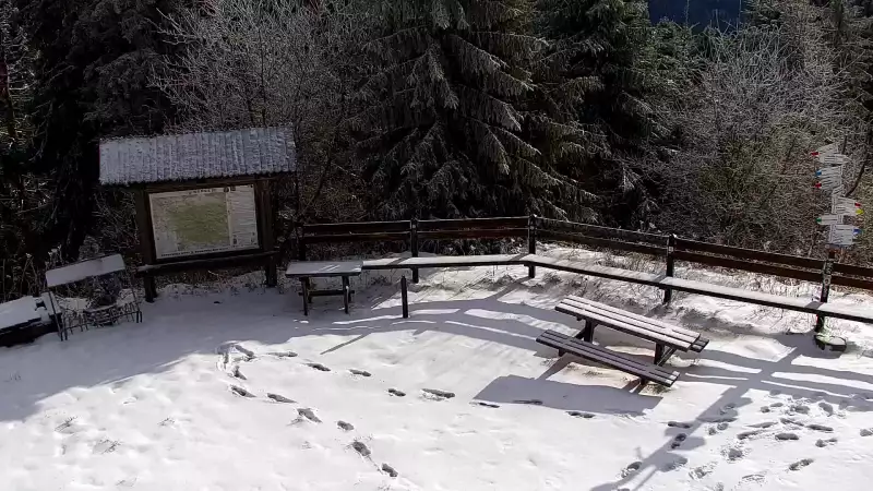 Przepiękny widok z kamery na Turbaczu ze schroniska PTTK.