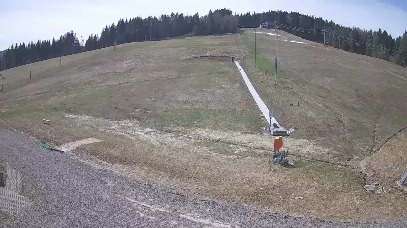 Widok z Kamery na trasę zjazdową w Tylicz.ski.