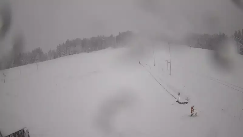 Widok z Kamery na trasę zjazdową w Tylicz.ski.
