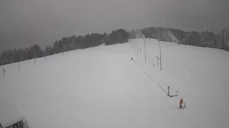 Widok z Kamery na trasę zjazdową w Tylicz.ski.