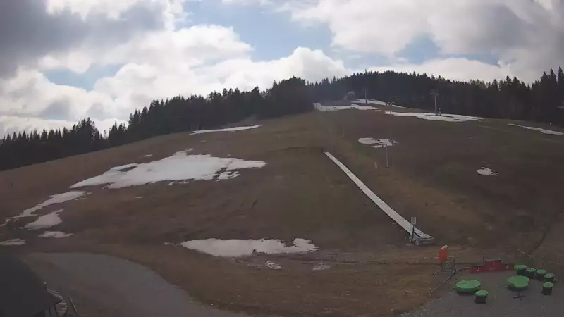 Widok z Kamery na trasę zjazdową w Tylicz.ski.