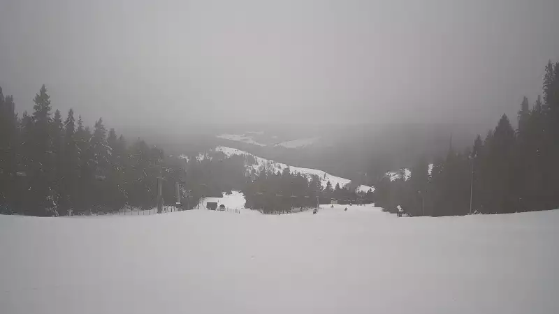 Wyciąg narciarski i fragment trasy zjazdowej ośrodka narciarskiego Wierchomla
