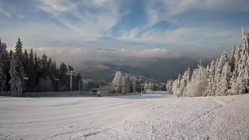 Wyciąg narciarski i fragment trasy zjazdowej ośrodka narciarskiego Wierchomla