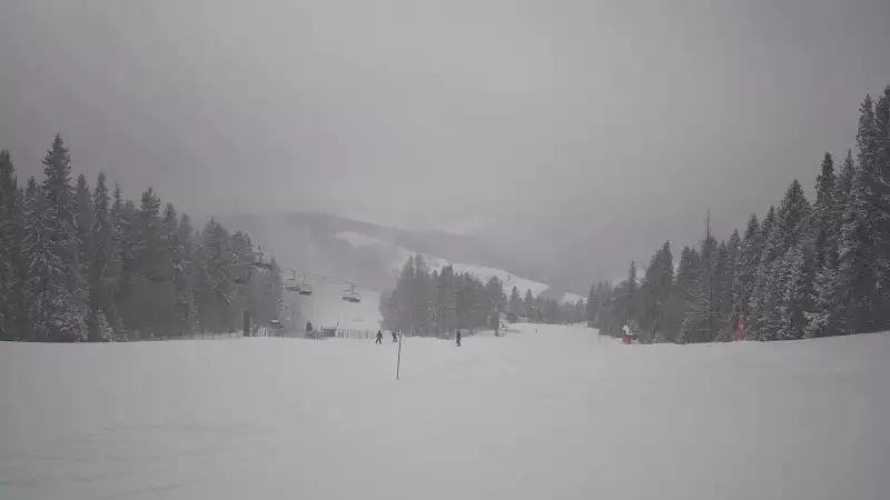 Wyciąg narciarski i fragment trasy zjazdowej ośrodka narciarskiego Wierchomla