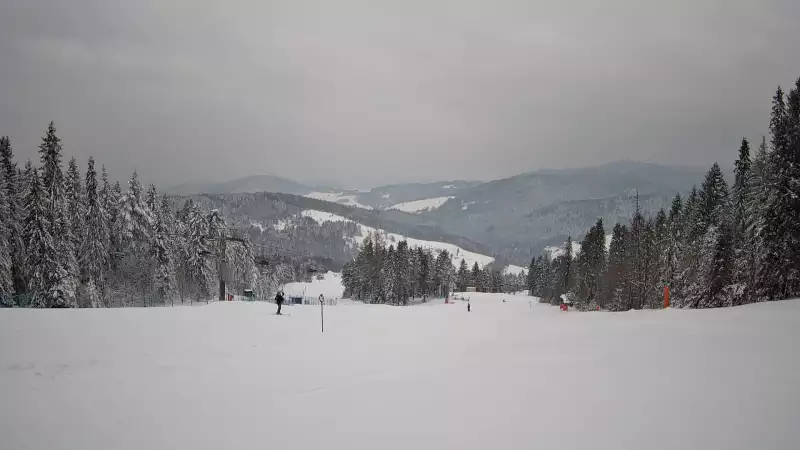 Wyciąg narciarski i fragment trasy zjazdowej ośrodka narciarskiego Wierchomla