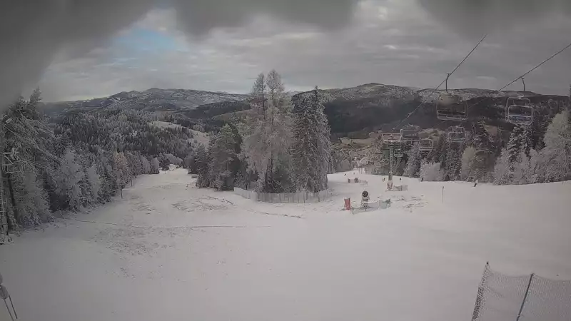 Obraz live z kamery prezentujący kilometrową trasę z wyciągu Wierchomla - Polanki.