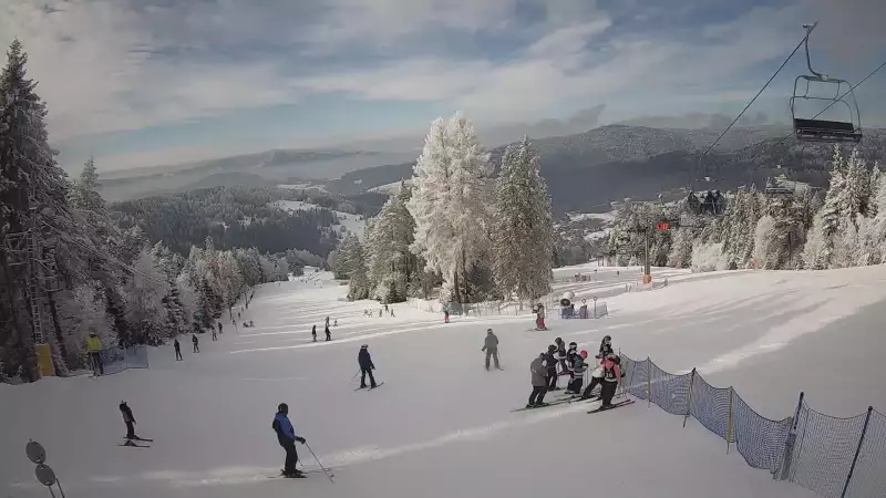 Obraz live z kamery prezentujący kilometrową trasę z wyciągu Wierchomla - Polanki.