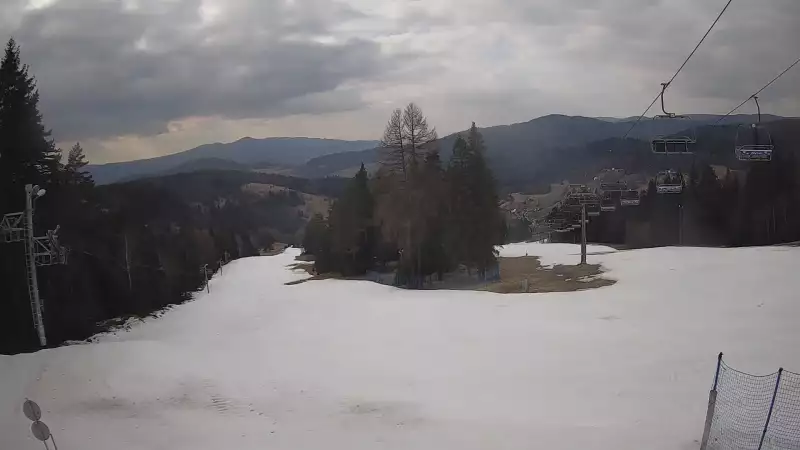 Obraz live z kamery prezentujący kilometrową trasę z wyciągu Wierchomla - Polanki.
